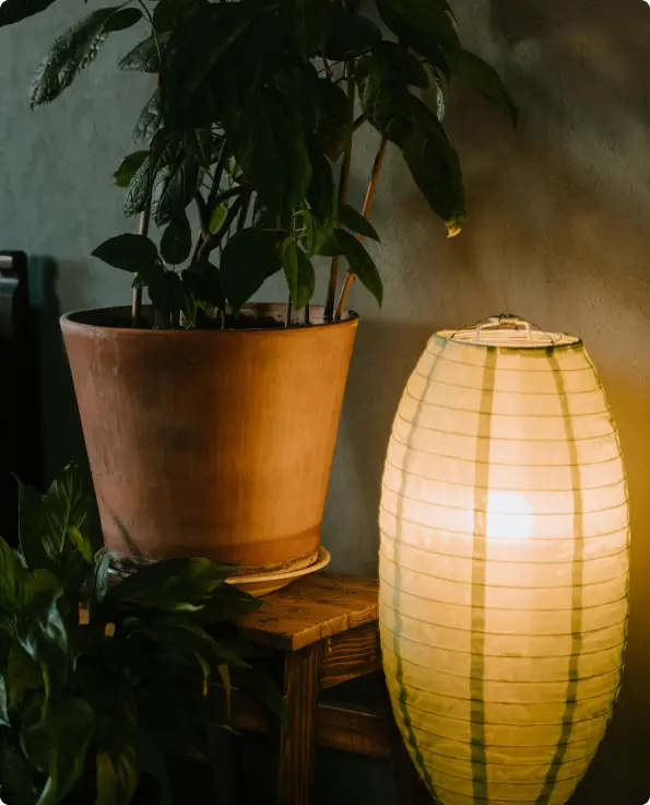 lighting fixture